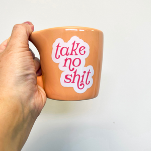 Coffee Mug- Take No Shit